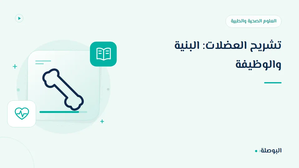 غلاف دورة تشريح العضلات: البنية والوظيفة